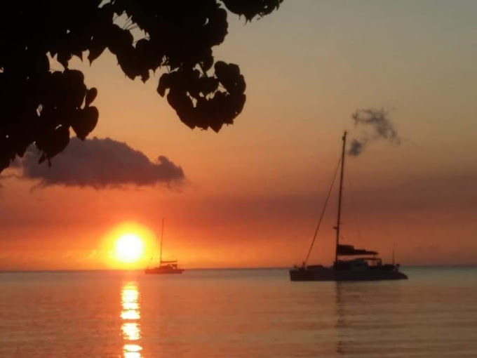 Toshic-Tours-Jamaica-3.jpg