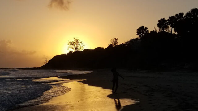 Treasure-Beach-Inn-and-Bar-2.jpg