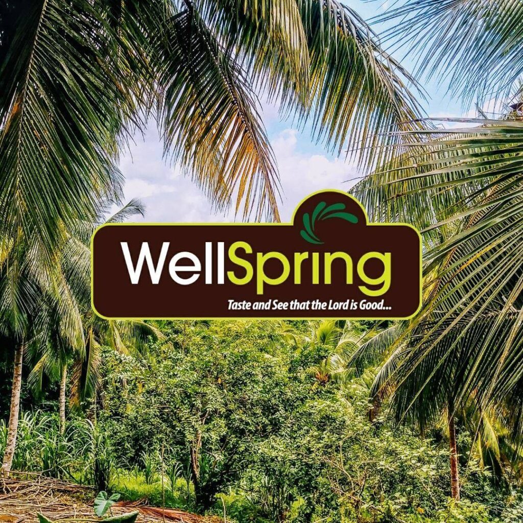 WellSpring-Raw-Juices-1.jpg
