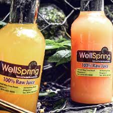 WellSpring Raw Juices