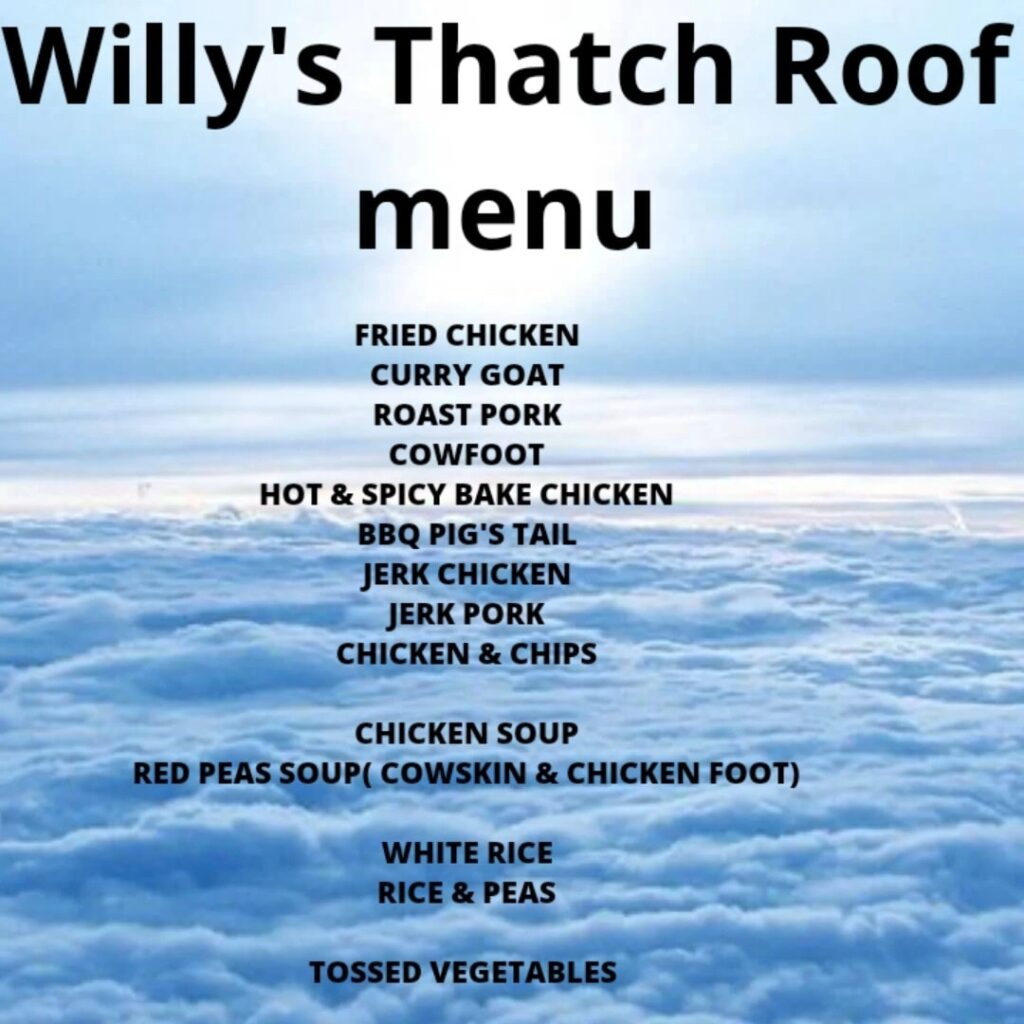 Willys-Thatch-Roof-Cool-out-Spot.jpg