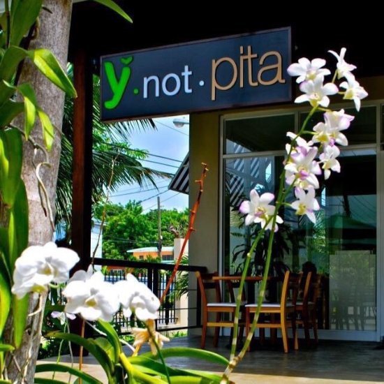 Y-not-Pita-2.jpg