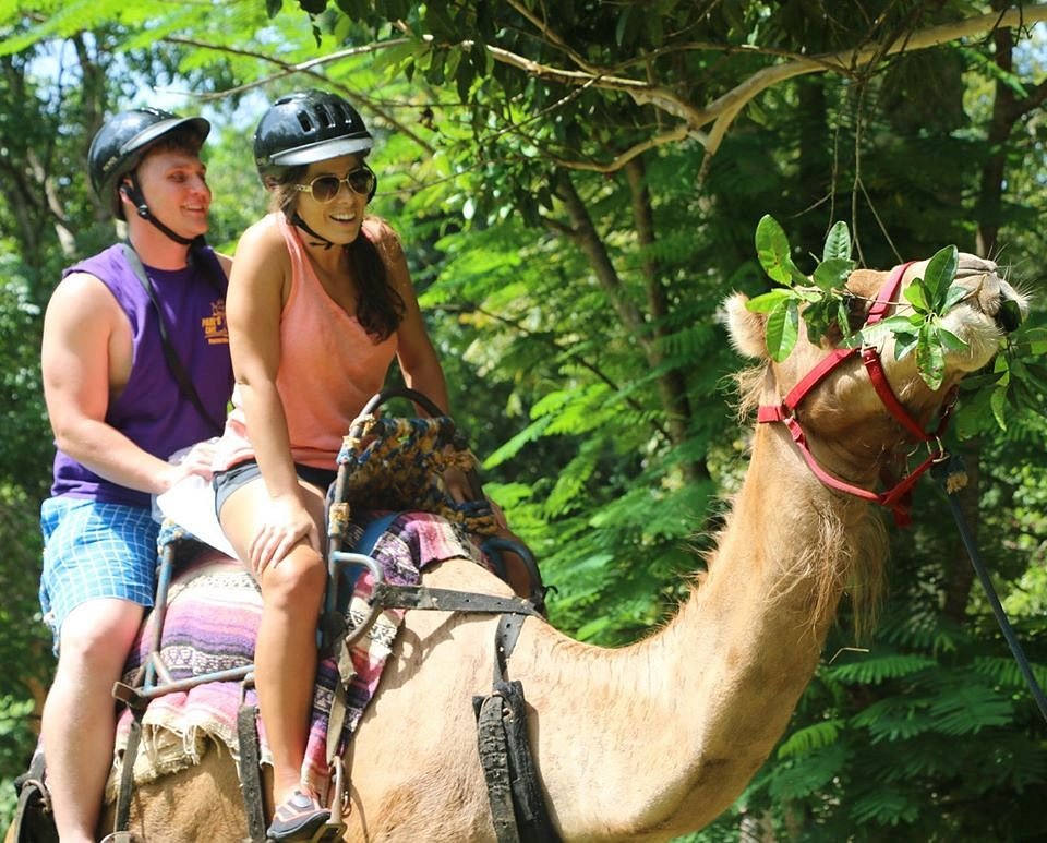 Yaaman-Adventure-Park-3.jpg