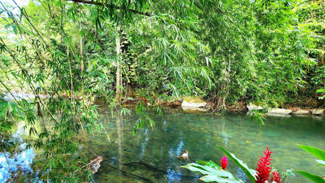 animal-farm-and-nature-reserve-1.jpg