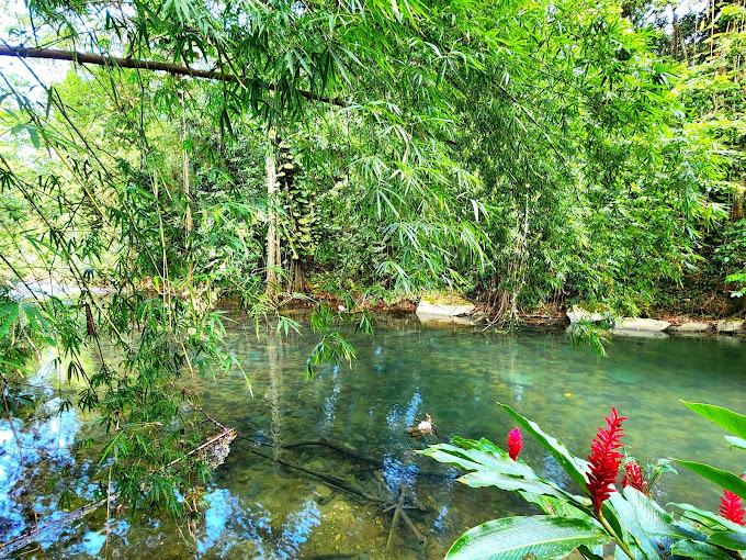 animal-farm-and-nature-reserve-1.jpg