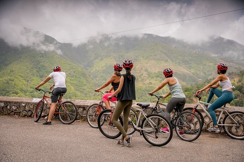 Blue Mountain Bicycle Tours