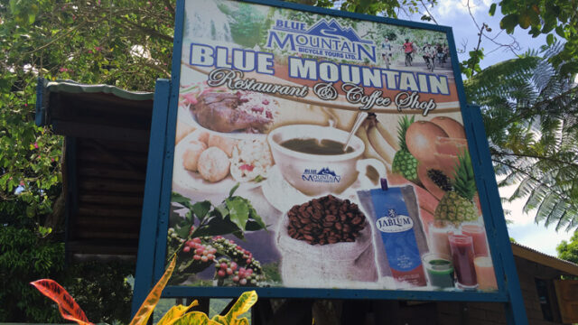 blue-mountain-bicycle-tour-2.jpg