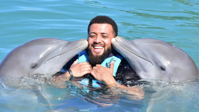 dolphin-cove-1.jpg