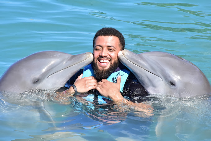 dolphin-cove-1.jpg
