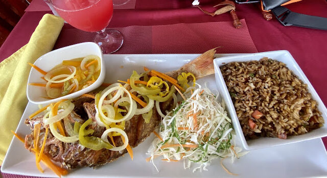 fusion-bites-jamaica-3.jpg