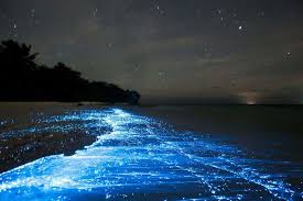 glistening-waters-jamaica-2.jpg