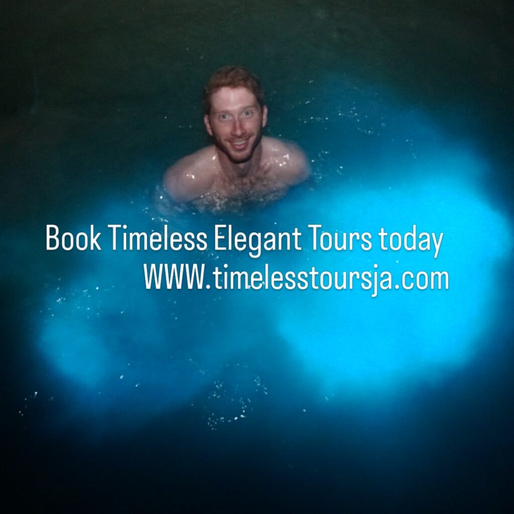 Timeless Elegant Tours