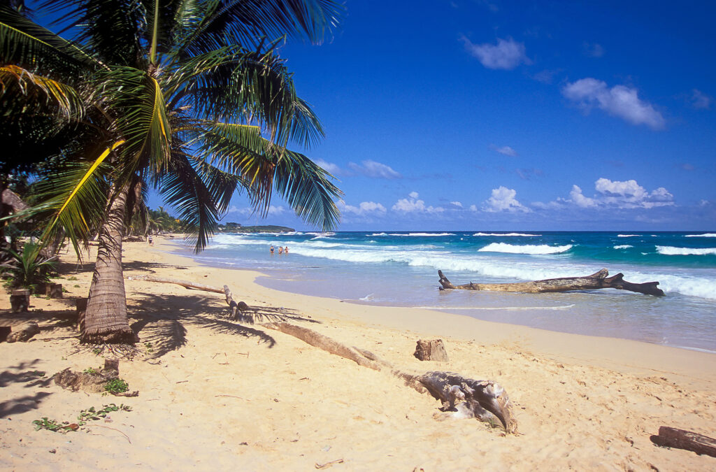 Long Bay Beach