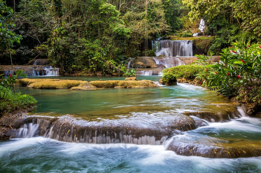 Mayfield Falls & Mineral Springs