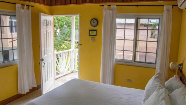 moms-place-jamaica-2.jpeg