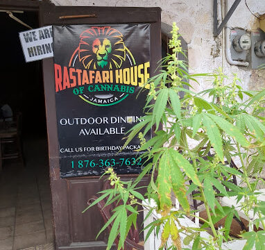 rastafari-house-of-cannabis-2.jpg