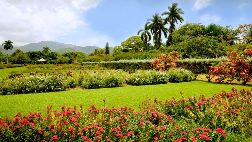 royal-botanical-gardens-jamaica-1.jpg