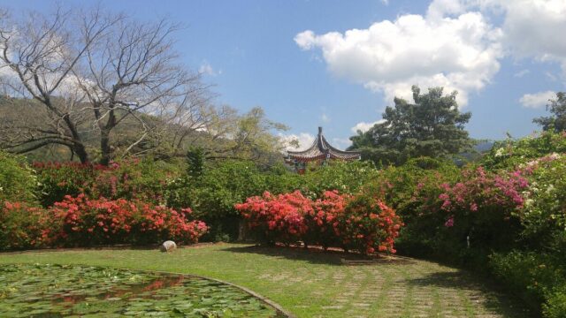 royal-botanical-gardens-jamaica-2.jpg