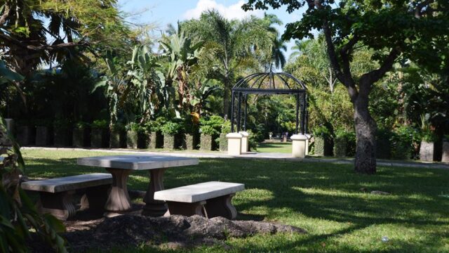 royal-botanical-gardens-jamaica-3.jpg