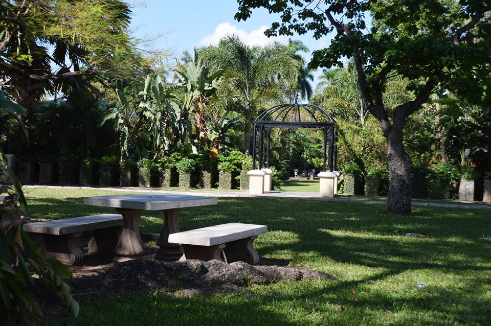 royal-botanical-gardens-jamaica-3.jpg