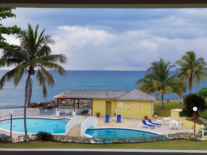 sea-palms-2.jpg