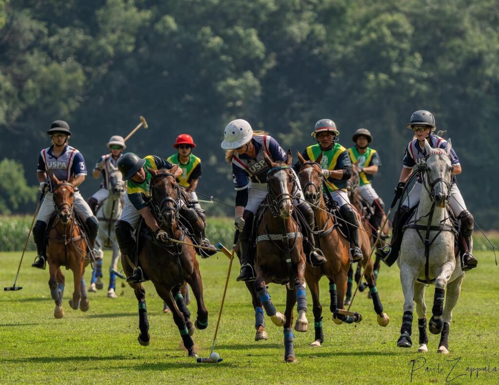 St. Ann Polo Club