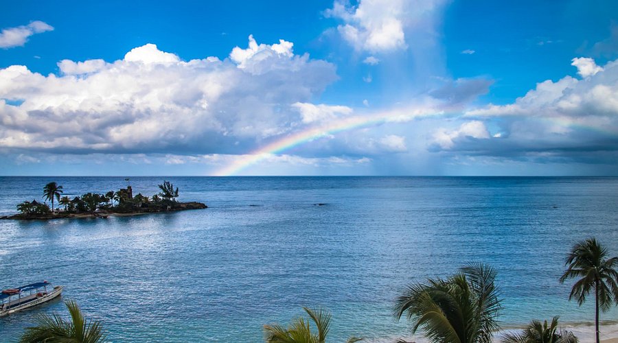 jamaica 43