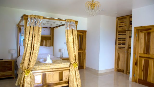 allenview 2