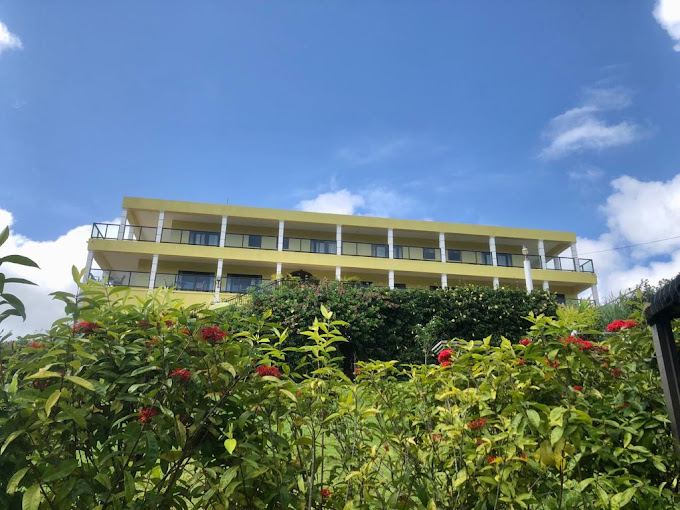 AllenView
