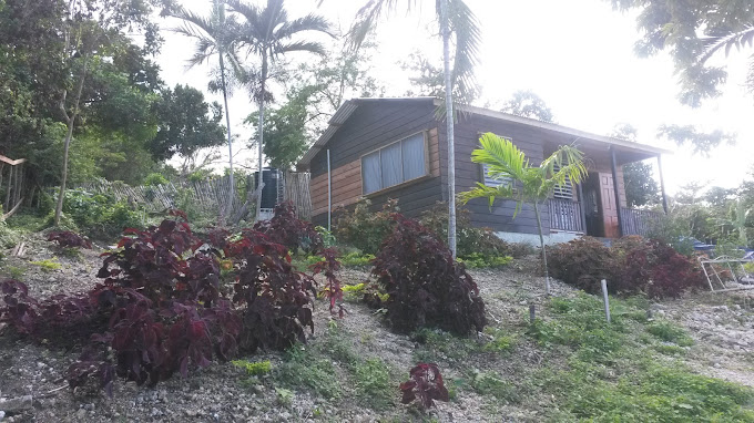 Beach Cabin HomeStay by Melrose