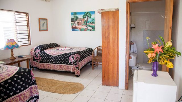 Cottages at Yoga Center Negril 1