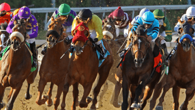 Mouttet Mile Invitational 1