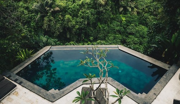 La Brisa villa and spa 1