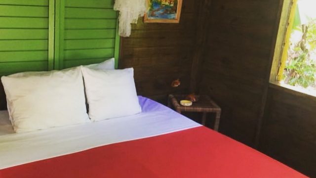 Palm yard Guesthouse 1